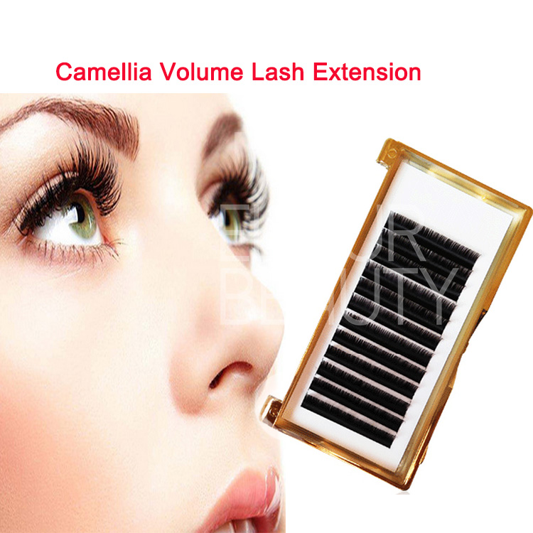 Soft camellia volume lash extension China wholesale EA93